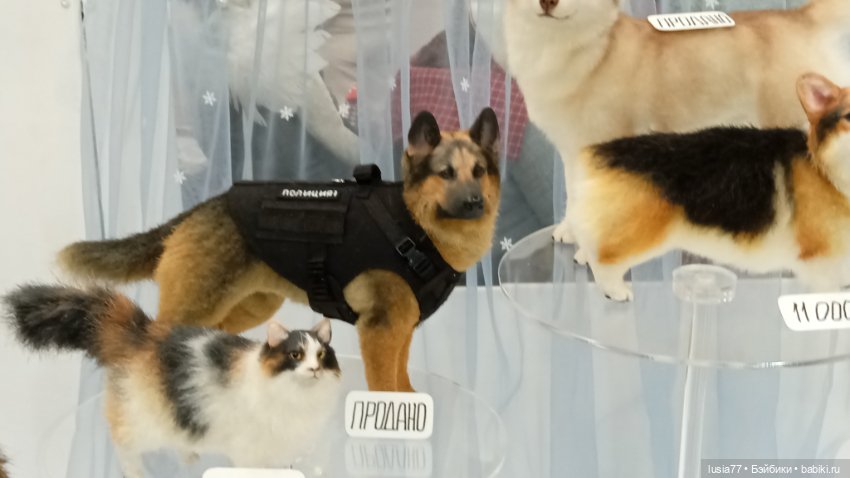 Бал кукол, Ростов-на-Дону, 6 декабря 2024, часть 4 (фото 2)