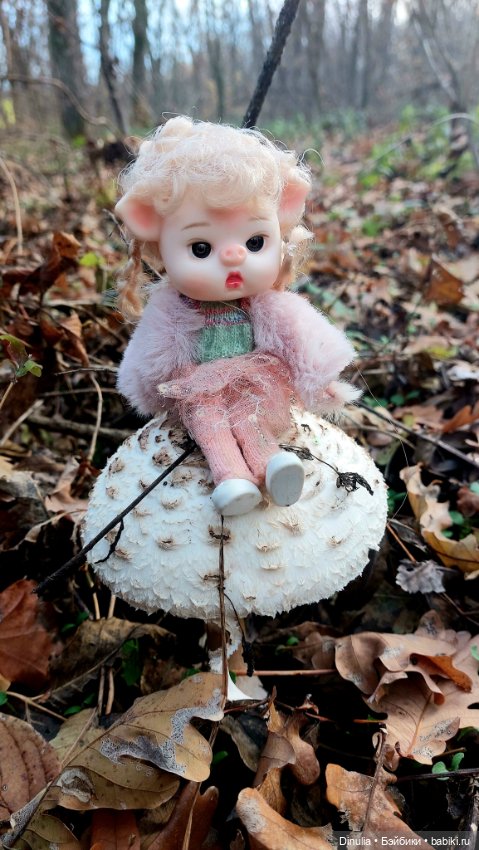 Тайны осеннего леса. Часть 2 (фото 3)