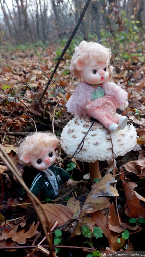 Тайны осеннего леса. Часть 2 (фото 4)