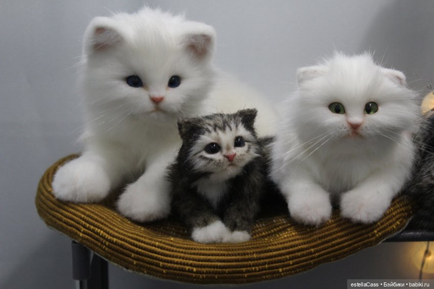 "Хелло, Тедди2 -декабрь 2024