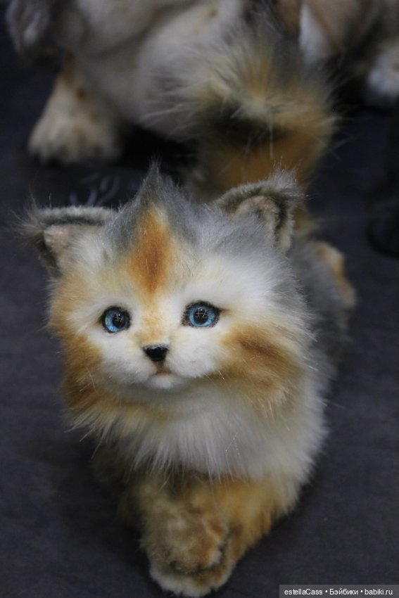 "Хелло, Тедди2 -декабрь 2024