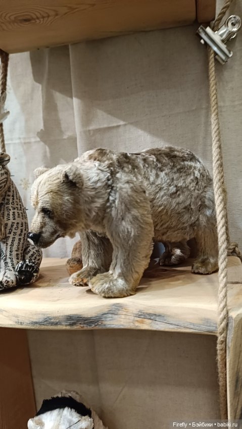 Выставка Hello Teddy на Тишинке