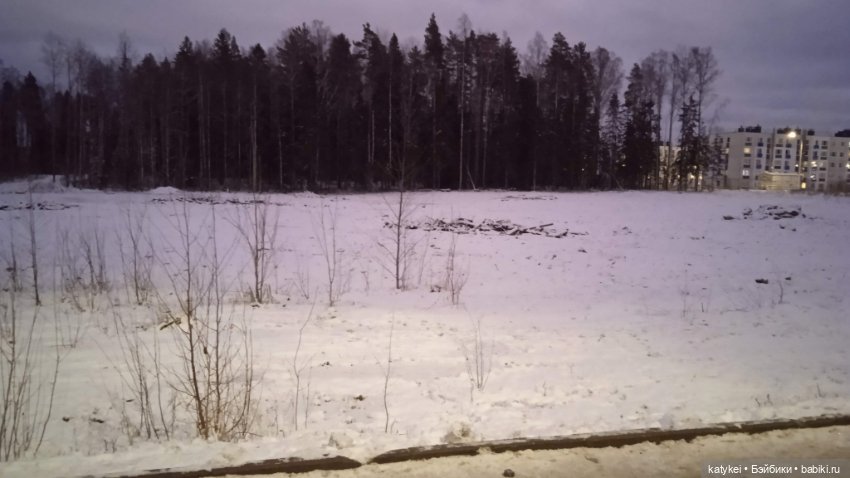 Акела прогульнулся — Коллекционные игрушки и фигурки: Lego