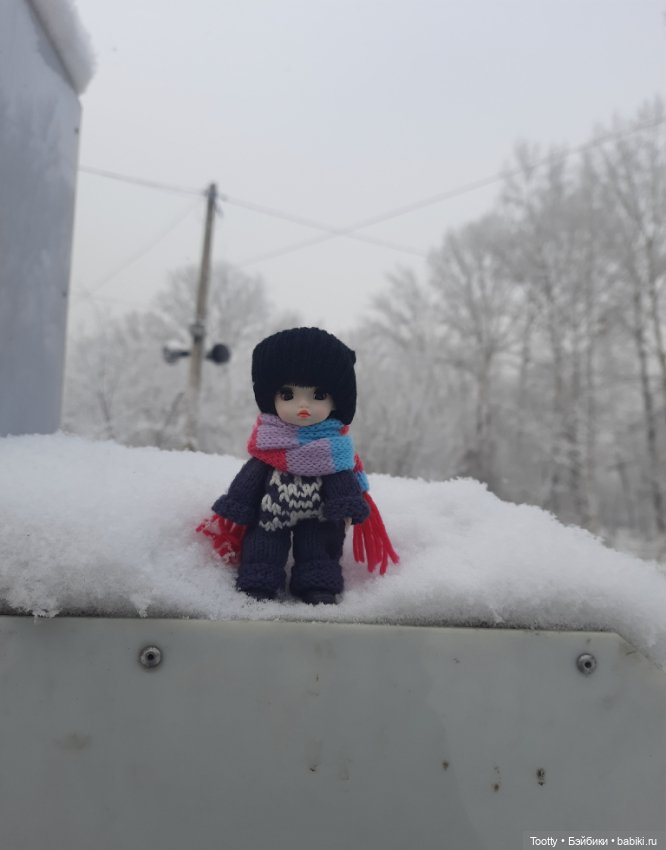 Прогулка маленького Рамзеса по предновогоднему Кызылу (фото 4)