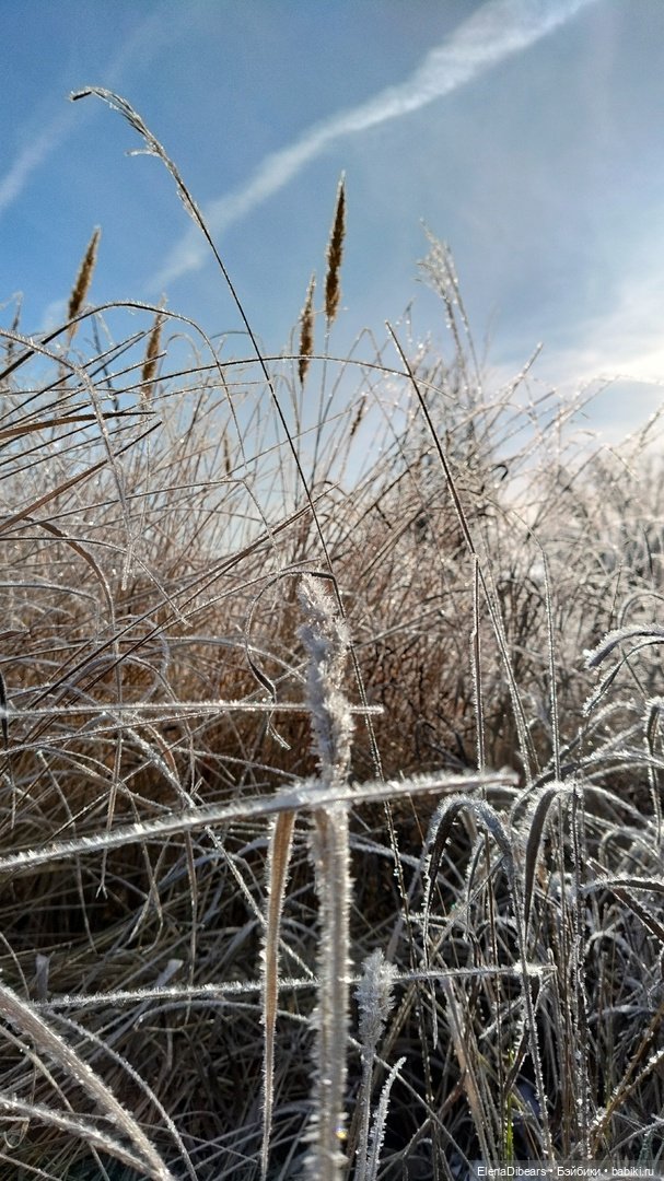 Белые мишки, к празднику — Авторские мишки Тедди и друзья: фото (фото 8)