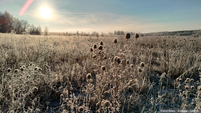Белые мишки, к празднику — Авторские мишки Тедди и друзья: фото (фото 4)