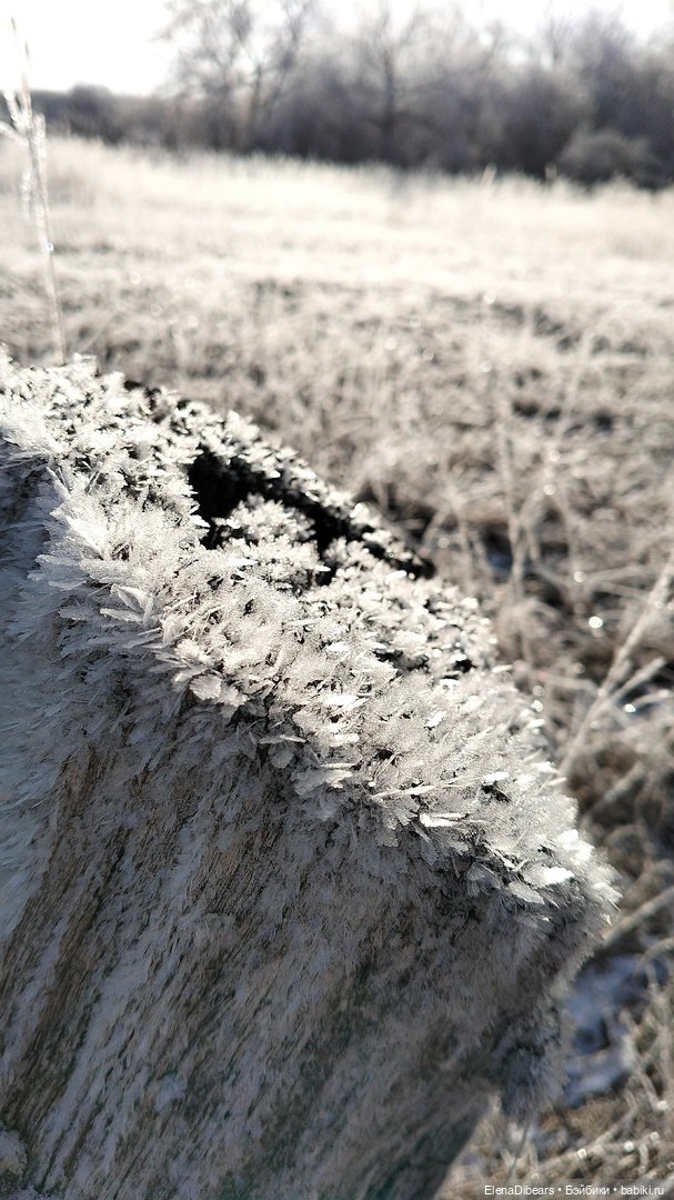 Белые мишки, к празднику — Авторские мишки Тедди и друзья: фото