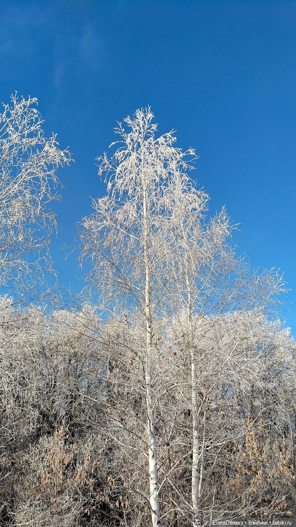 Белые мишки, к празднику — Авторские мишки Тедди и друзья: фото