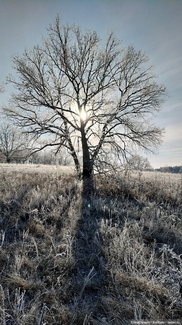 Белые мишки, к празднику — Авторские мишки Тедди и друзья: фото (фото 10)