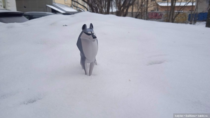 Умеют ли волки лазить по деревьям (фото 3)