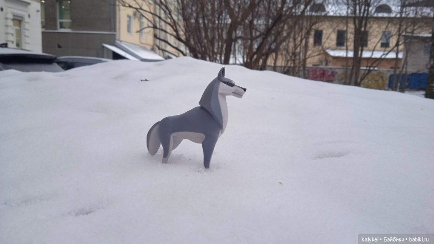 Умеют ли волки лазить по деревьям (фото 2)