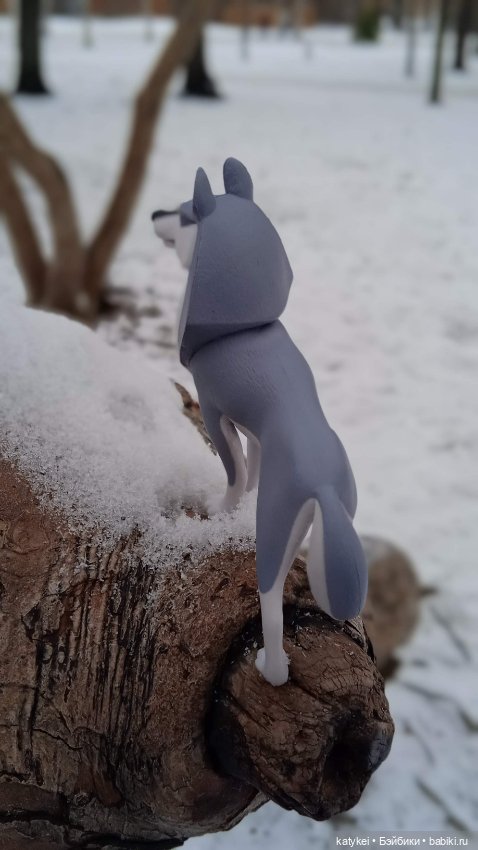 Умеют ли волки лазить по деревьям (фото 10)