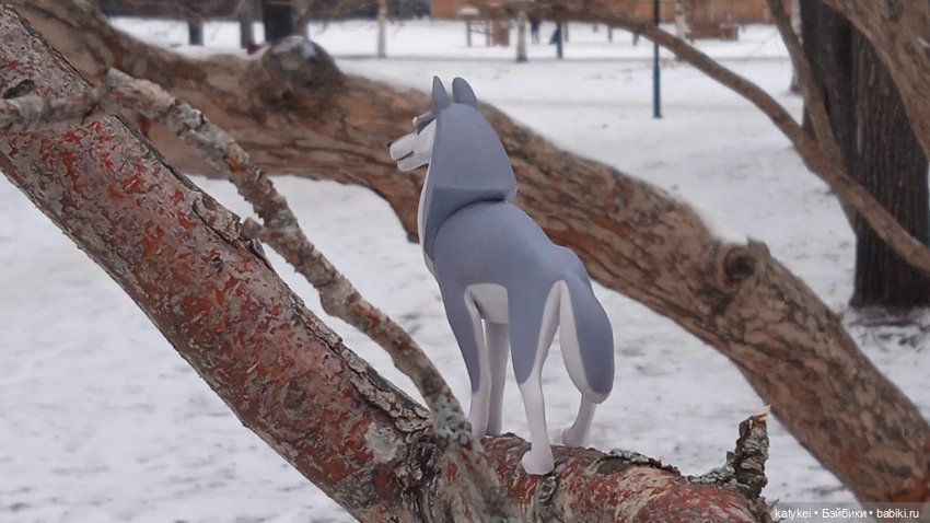 Умеют ли волки лазить по деревьям