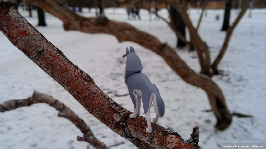 Умеют ли волки лазить по деревьям