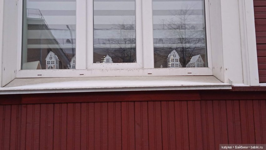 Умеют ли волки лазить по деревьям