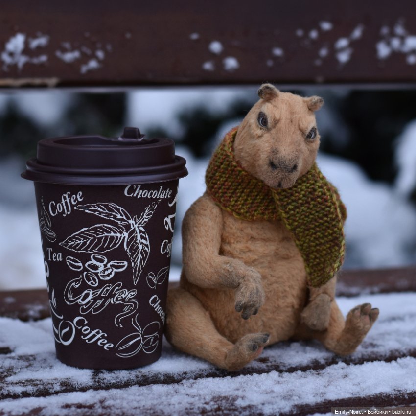 Фото-подборка согревающая :)