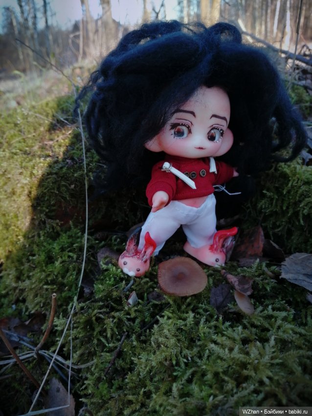Пока еще зима без снега — Разные куклы BJD (БЖД): редкие бренды