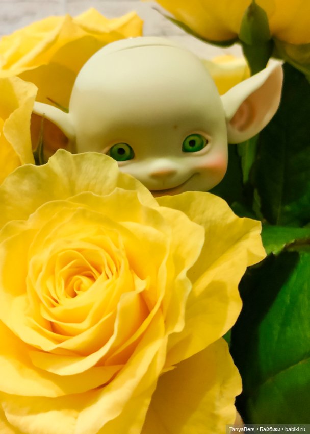 И улыбка, без сомненья, вдруг коснётся ваших глаз 😊💚✨