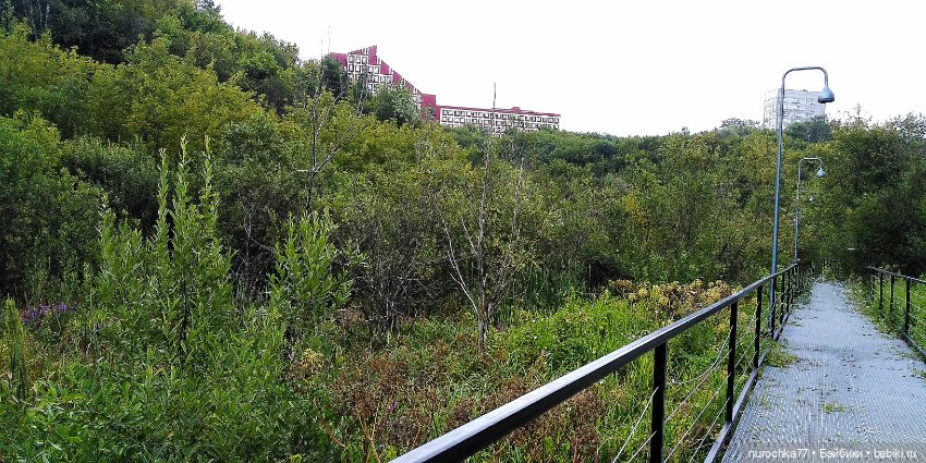 Про Нафочку. Продолжаем вспоминать Пермь