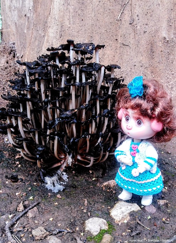 Про Нафочку. Продолжаем вспоминать Пермь (фото 5)