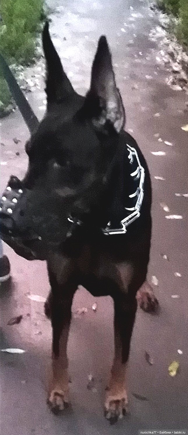 Про Нафочку. Продолжаем вспоминать Пермь