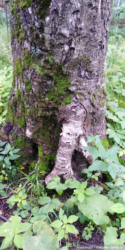 Прогулки по Перми. Интересные места