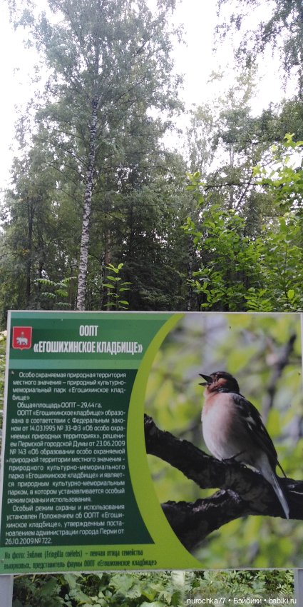 Прогулки по Перми. Интересные места (фото 8)