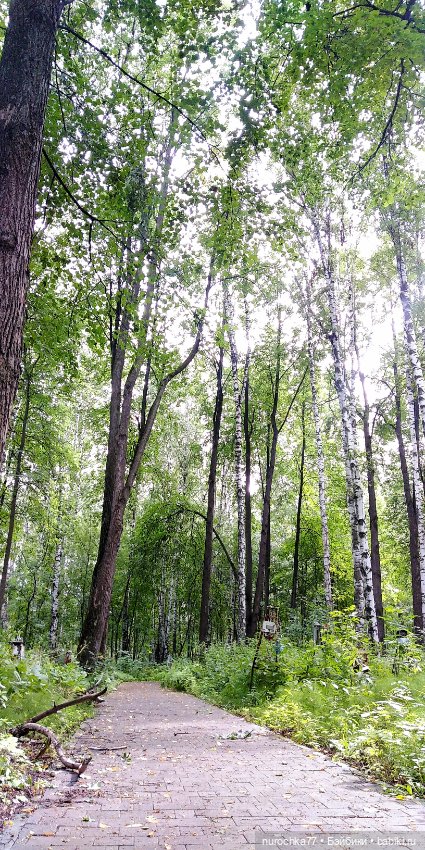 Прогулки по Перми. Интересные места