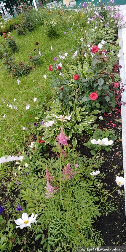 Прогулки по Перми. Интересные места (фото 10)