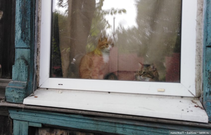 Прогулки по Перми. Интересные места