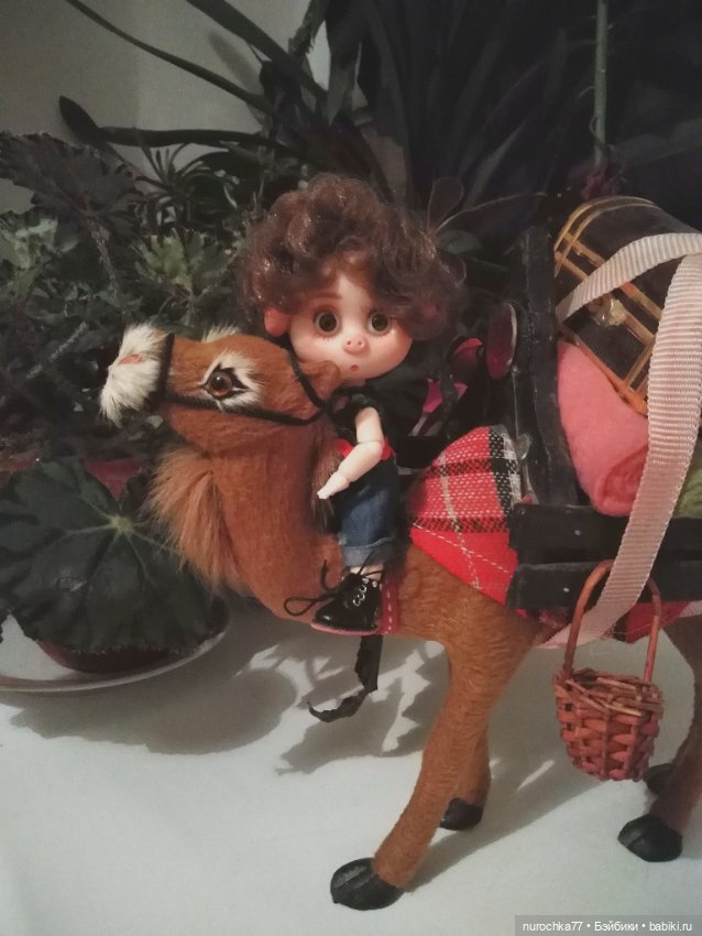 Про Нафочку. Прощай, Пермь (фото 5)