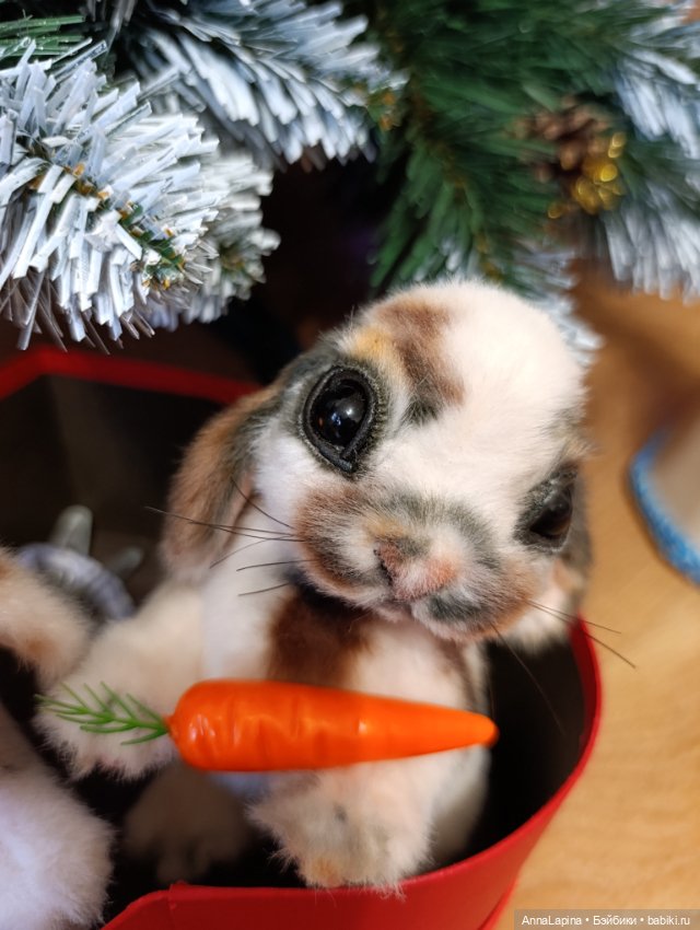 Зайки ❤️❤️❤️ — Домашние фото авторских игрушек: Тедди (фото 7)