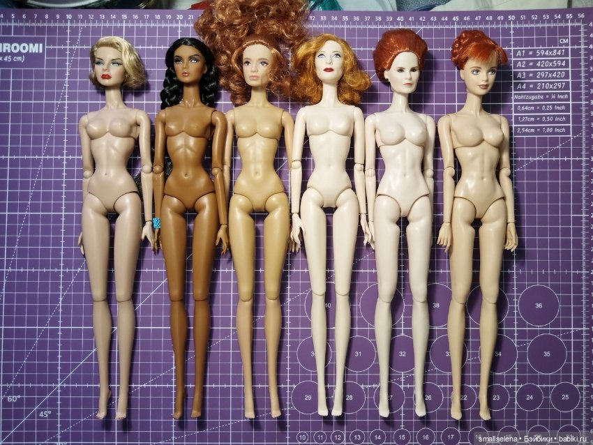 Сравнение тел фашн кукол формата 1/6 (не бжд)