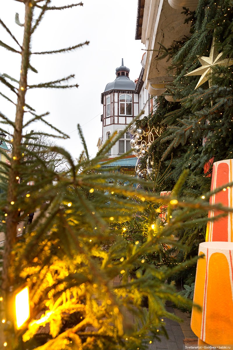 Всё в куче и Мони (Heidi Plusczok)