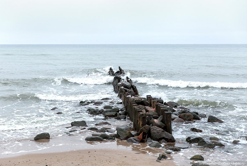 Всё в куче и Мони (Heidi Plusczok)