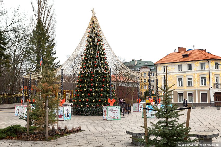 Всё в куче и Мони (Heidi Plusczok)