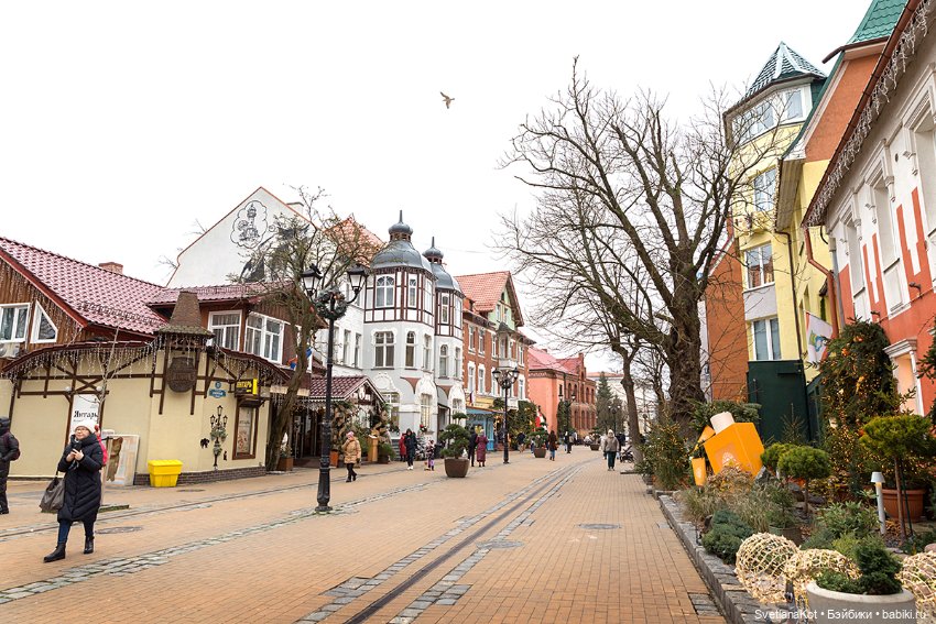 Всё в куче и Мони (Heidi Plusczok)