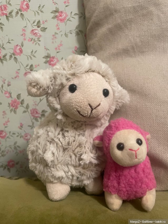 Овечкам - сердечки)❤️ — В мире животных: смешные фото питомцев и зверей (фото 3)