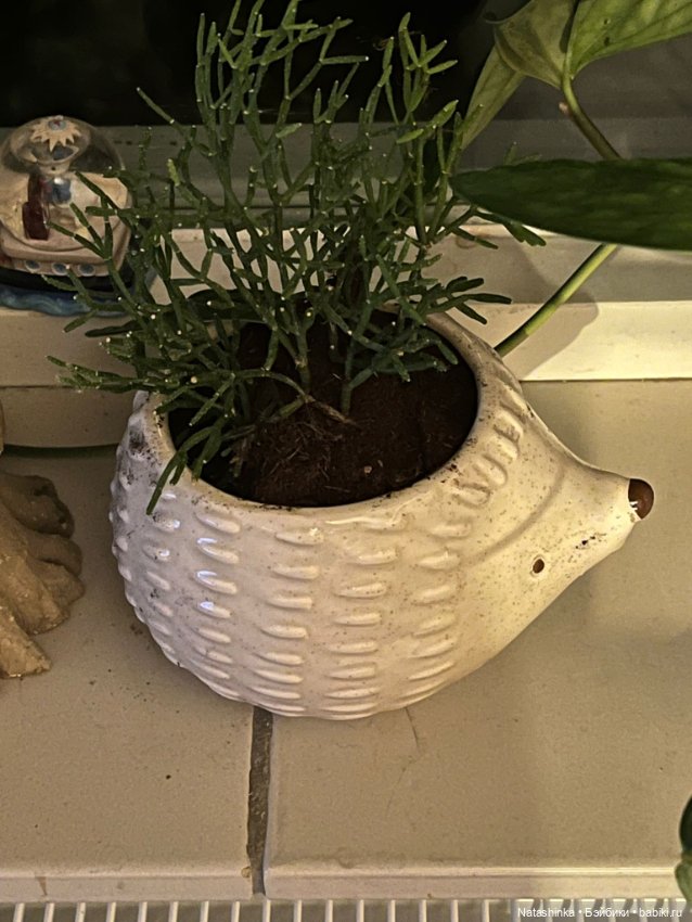 Музыкальная История 174 — Туризм и путешествия: фотоотчеты из поездок (фото 2)