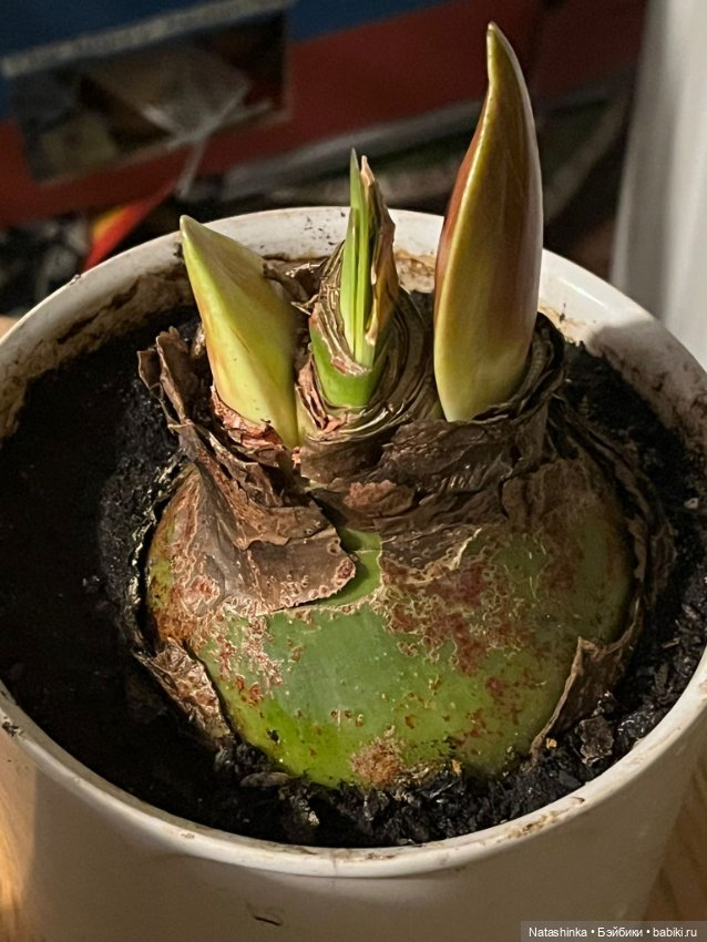 Музыкальная История 174 — Туризм и путешествия: фотоотчеты из поездок