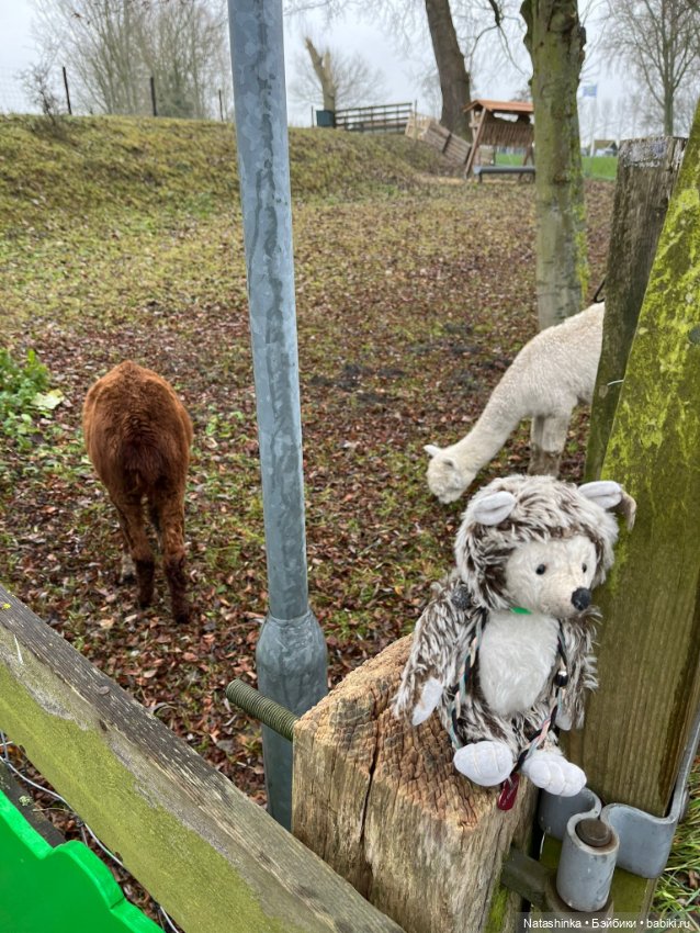 Музыкальная История 174 — Туризм и путешествия: фотоотчеты из поездок (фото 7)