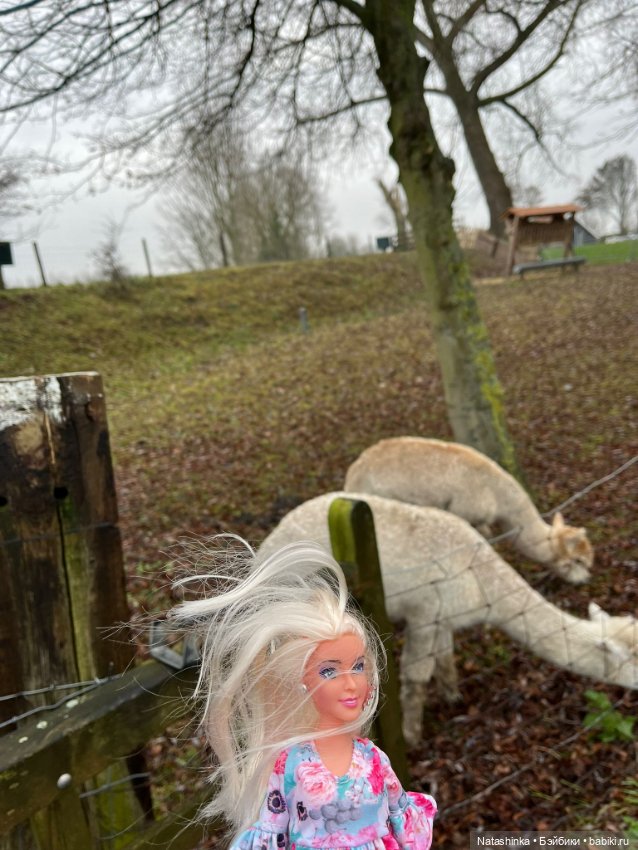 Музыкальная История 174 — Туризм и путешествия: фотоотчеты из поездок (фото 6)