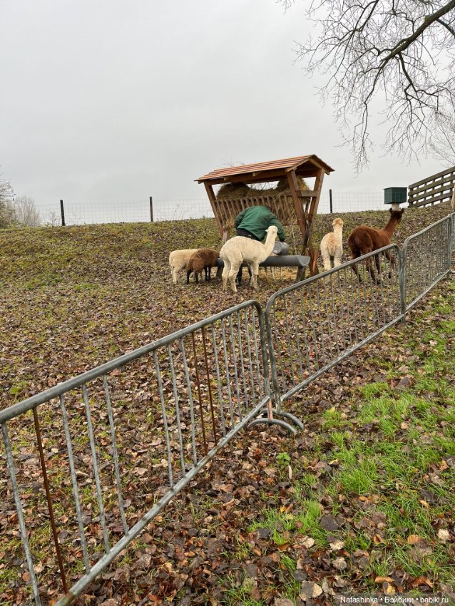 Музыкальная История 174 — Туризм и путешествия: фотоотчеты из поездок