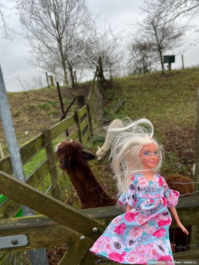 Музыкальная История 174 — Туризм и путешествия: фотоотчеты из поездок (фото 5)