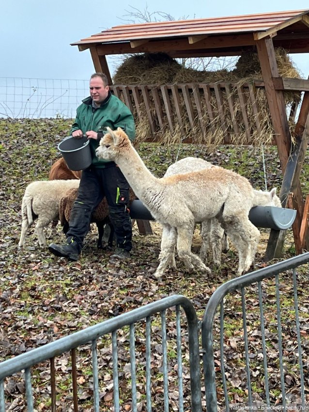 Музыкальная История 174 — Туризм и путешествия: фотоотчеты из поездок