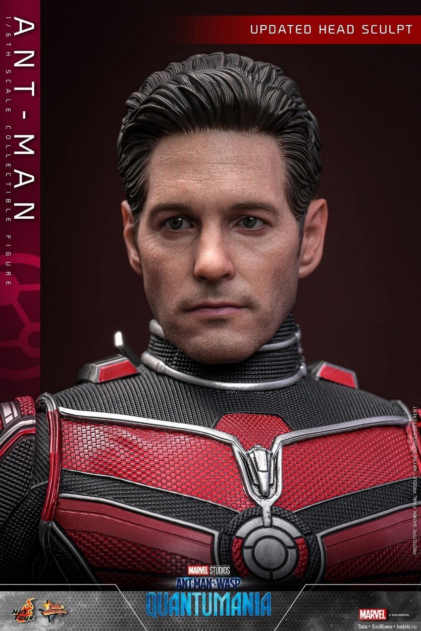 Hot Toys - скульпт головы Скотта Лэнга/Человека-муравья (фото 6)