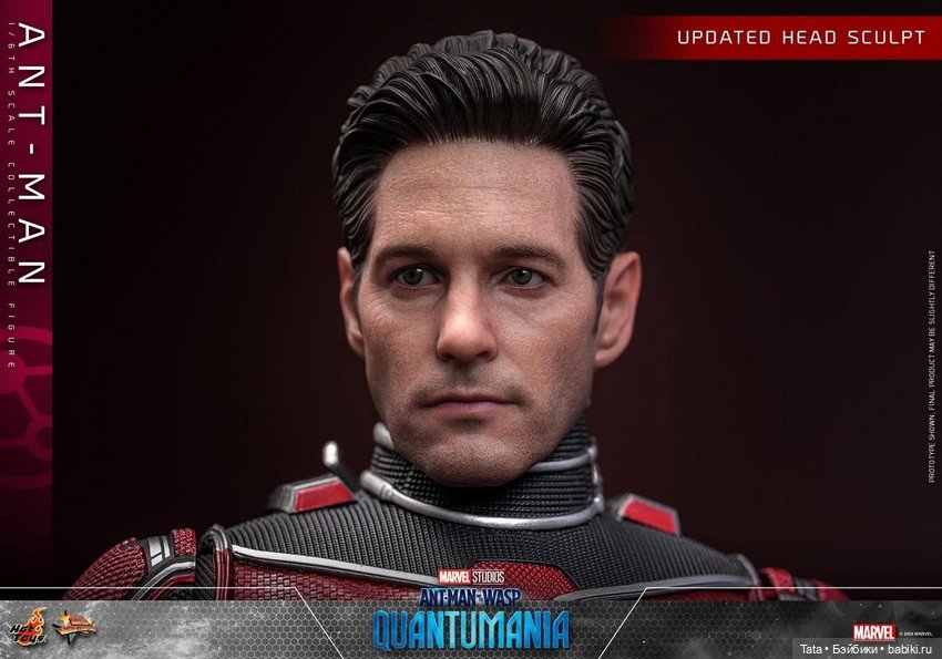 Hot Toys - скульпт головы Скотта Лэнга/Человека-муравья (фото 2)