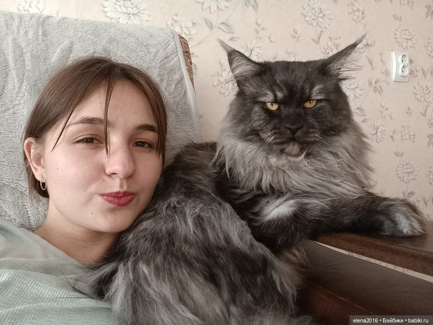 Сама нежность — В мире животных: смешные фото питомцев и зверей (фото 8)