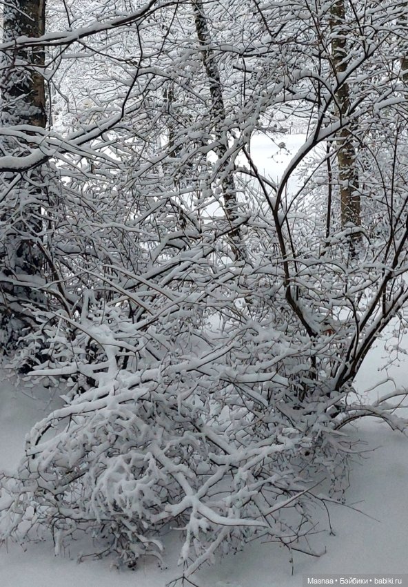 Первые сугробы ❄️ — Коллекционные фигурки (разное): животные