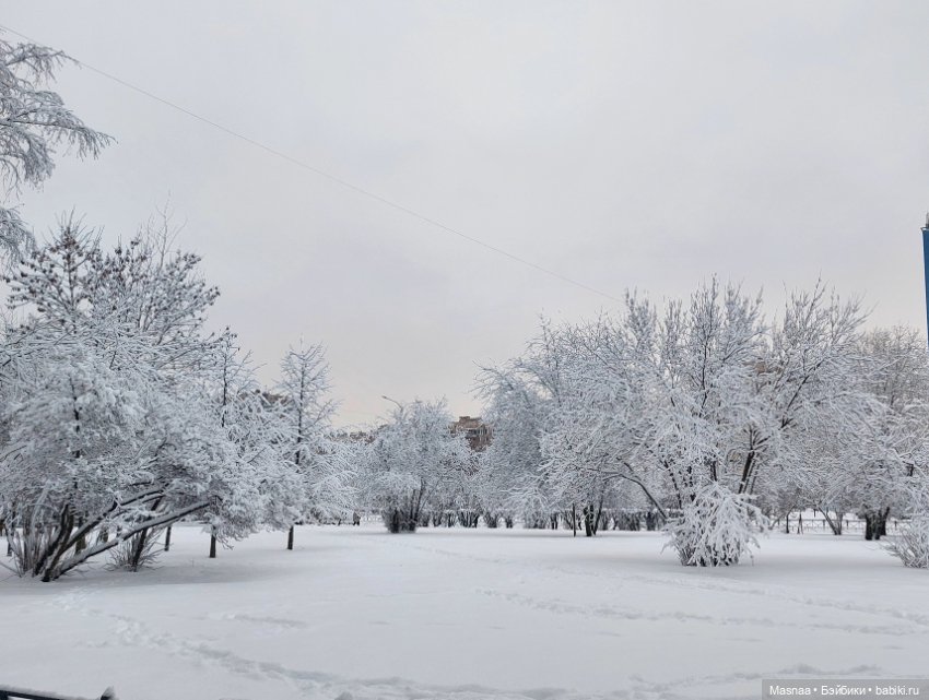 Первые сугробы ❄️ — Коллекционные фигурки (разное): животные (фото 7)